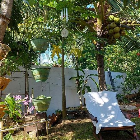 Wine Tree Garden Guesthouse ミリッサ エクステリア 写真