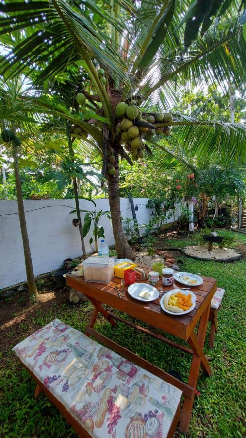 Wine Tree Garden Guesthouse ミリッサ エクステリア 写真