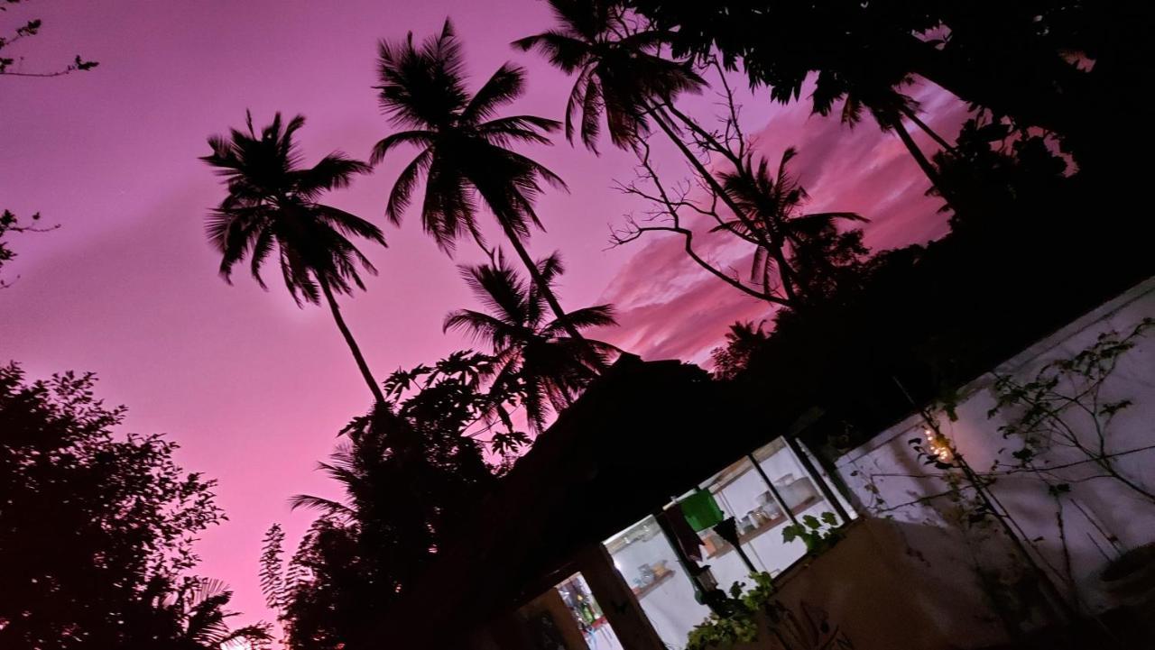 Wine Tree Garden Guesthouse ミリッサ エクステリア 写真