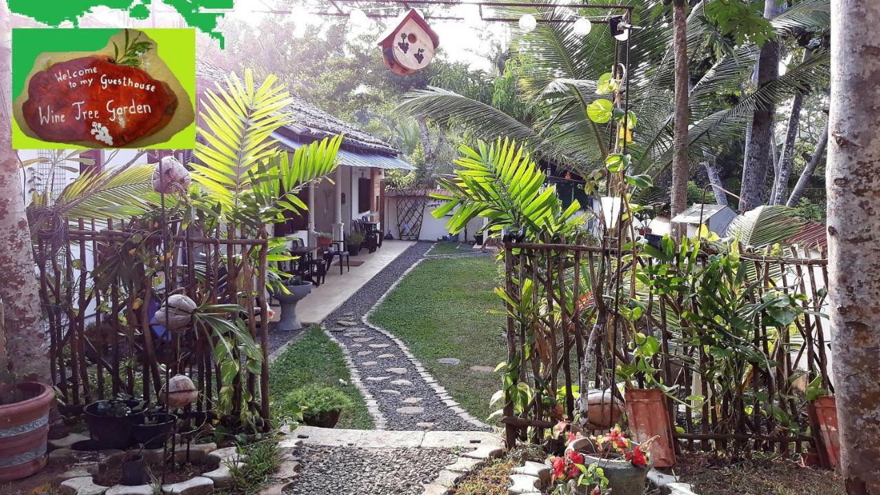 Wine Tree Garden Guesthouse ミリッサ エクステリア 写真